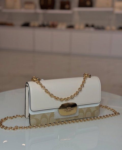 Сумка Coach жіноча  356 фото